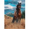 Cobble Hill Freedom - Cobble Hill Puzzle 1000 pezzi