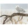 Cobble Hill Fallen Willow Snowy Owl - Cobble Hill Puzzle 500 pezzi