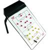 EYE Sport LAVAGNA TATTICA CALCIO