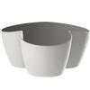 Erba Coprivaso Asso coprivaso 3 posti cm 14 bianco