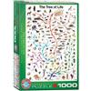 EuroGraphics- Puzzle, Multicolore, 6000-0282