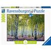 RAVENSBURGER 16753 PUZZLE DA 1000 PZ. BOSCO DI BETULLE