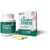 Innovet Condrostress+ Integratore per osteoartrite degli animali 60 compresse masticabili