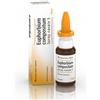Guna - Euphorbium Compositum Spray Nasale Confezione 20 Ml