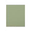 Gardinia Easyfix Plissettata Greta, Tenda avvolgibile Opaca, Parti di Montaggio Incluse, Poliestere, Verde Menta, 80 x 130 cm
