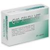 Homeosyn Italia Homeosyn Q10 Selen Vit Integratore antiossidante 24 Capsule