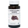 Gheos Auricularia 90 Capsule