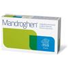 Euronational srl Euronational Mandroghen 30 Compresse 750mg per le vie urinarie