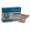 Concessionaria Italia snc Glucodil 45 capsule vegetali integratore con Gimnema