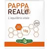 ERBA VITA GROUP SPA PAPPA REALE FRESCA 10G