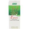 SALUS HAUS Gmbh & Co KG SALUS Equiseto, 200 ml, Succo Puro di Equiseto per Drenaggio e Funzionalità Urinarie