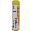 BOIRON SRL Boiron Arnica Montana 1MK Globuli Confezione Monodose da 1g