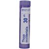 BOIRON SRL THUYA OCCIDENT 30CH GR