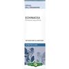 Erba Vita ECHINACEA RADICE SOLUZIONE IDROALCOLICA 50 ML
