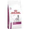 Royal Canin Veterinary Diet Renal 2 Kg Cane