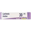 BOIRON Srl Lachesis Mutus 30Ch Globuli Monodose Boiron
