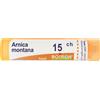 BOIRON Srl Arnica Montana 15Ch Granuli Multidose Boiron