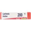 BOIRON Lachesis Mutus 200K Globuli Monodose Boiron