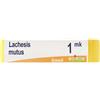 BOIRON LACHESIS MUTUS Dose MK