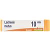 BOIRON Srl Lachesis Mutus Xmk Globuli Monodose Boiron