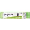 BOIRON Pyrogenium 5Ch Granuli Multidose Boiron