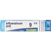 BOIRON Srl Boiron Influenzinum 9CH Granuli Omeopatici 4 G