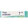 BOIRON Thuya Occidentalis 7Ch Globuli Monodose Boiron