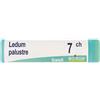 BOIRON Srl Ledum Palustre 7 Ch Dose 2020