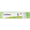 BOIRON Srl Cantharis 5Ch Granuli Multidose Boiron
