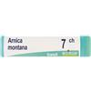 BOIRON Srl Arnica Montana 7Ch Globuli Monodose Boiron