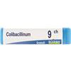 BOIRON Srl Colibacillinum 9ch Globuli Monodose Boiron