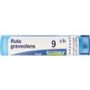 BOIRON Ruta Graveolens 9Ch Granuli Multidose Boiron