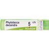 BOIRON Phytolacca Decandra 5Ch Granuli Multidose Boiron