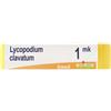 BOIRON Srl Lycopodium Clavatum Mk Globuli Monodose Boiron