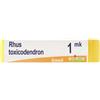 BOIRON Srl Rhus Toxicodendron 1000K Globuli Monodose Boiron