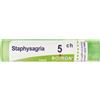 BOIRON Srl Staphysagria 5Ch Granuli Multidose Boiron