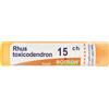 BOIRON Rhus Toxicodendron 15ch Granuli Multidose Boiron