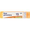 BOIRON Ruta Graveolens 15Ch Granuli Multidose Boiron