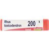 BOIRON Srl Rhus Toxicodendron 200k Globuli Monodose Boiron