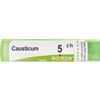 BOIRON Srl Causticum 5Ch Granuli Multidose Boiron