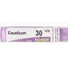 BOIRON Srl Causticum 30Ch Granuli Multidose Boiron