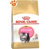 Royal Canin Cat Kitten Persian - Sacco da 400 Gr