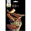 FUNGHI MARA SEMI MICELIO FUNGO SHII-TAKE 100 G