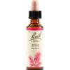 SCHWABE PHARMA ITALIA Pine Bach Original 20ml