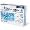 Proge Farm Enterobacilli Integratore Alimentare 10 Bustine