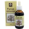 Ecol FUCUS ESTRATTO ANALCOLICO 50 ML ARTICOLO 796