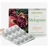 ERBAMEA Srl Melograno Erbamea 24 Capsule Vegetali