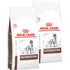 Royal Canin Veterinary Gastrointestinal per cane 2 x 15 kg