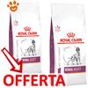 Royal Canin Dog Veterinary Diet Renal Select - Offerta [PREZZO A CONFEZIONE] Quantità Minima 2, Sacco Da 10 Kg