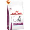 Royal Canin Dog Veterinary Diet Renal Special - Sacco da 2 kg, Any